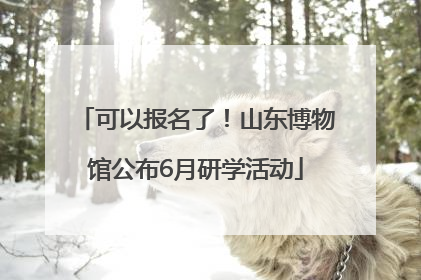 可以报名了！山东博物馆公布6月研学活动
