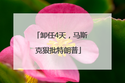 卸任4天，马斯克狠批特朗普