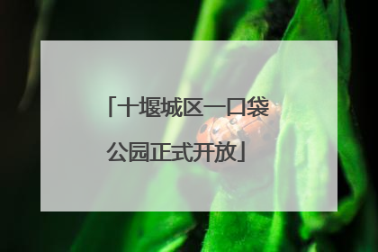 十堰城区一口袋公园正式开放