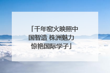千年窑火映照中国智造 株洲魅力惊艳国际学子