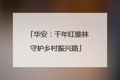 华安：千年红锥林守护乡村振兴路