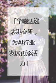 华曦达递表港交所，为AI行业发展再添活力