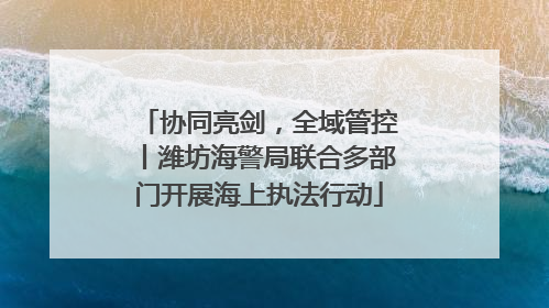 协同亮剑，全域管控丨潍坊海警局联合多部门开展海上执法行动