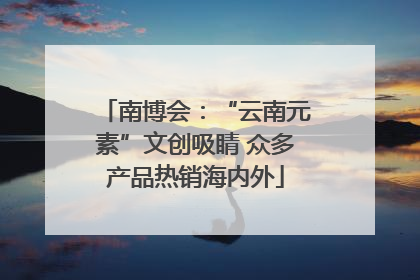南博会：“云南元素”文创吸睛 众多产品热销海内外