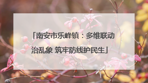 南安市乐峰镇：多维联动治乱象 筑牢防线护民生