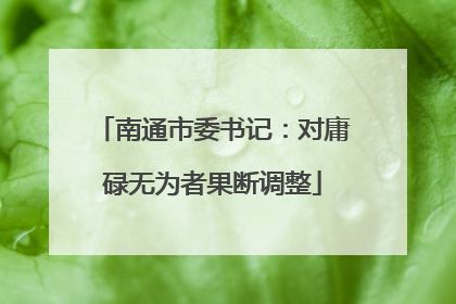 南通市委书记：对庸碌无为者果断调整