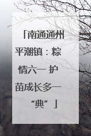 南通通州平潮镇：粽情六一 护苗成长多一“典”