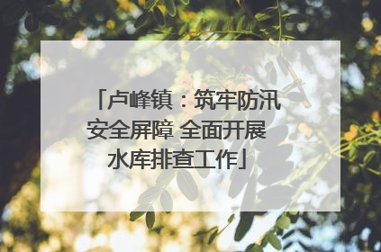 卢峰镇：筑牢防汛安全屏障 全面开展水库排查工作