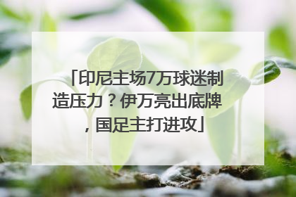 印尼主场7万球迷制造压力？伊万亮出底牌，国足主打进攻