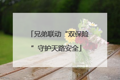 兄弟联动“双保险”守护天路安全