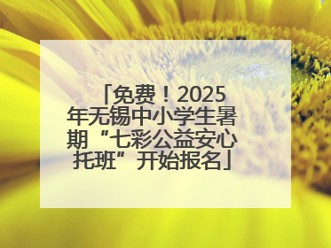 免费！2025年无锡中小学生暑期“七彩公益安心托班”开始报名