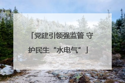 党建引领强监管 守护民生“水电气”