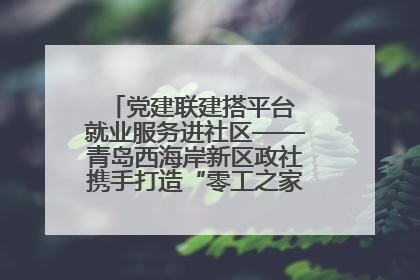 党建联建搭平台 就业服务进社区——青岛西海岸新区政社携手打造“零工之家”就业服务新阵地