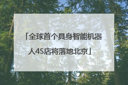 全球首个具身智能机器人4S店将落地北京