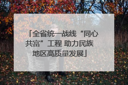 全省统一战线“同心共富”工程 助力民族地区高质量发展