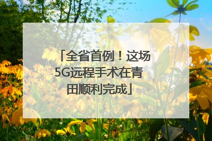 全省首例！这场5G远程手术在青田顺利完成