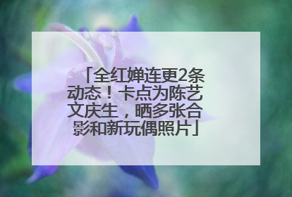 全红婵连更2条动态！卡点为陈艺文庆生，晒多张合影和新玩偶照片