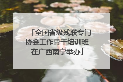 全国省级残联专门协会工作骨干培训班在广西南宁举办