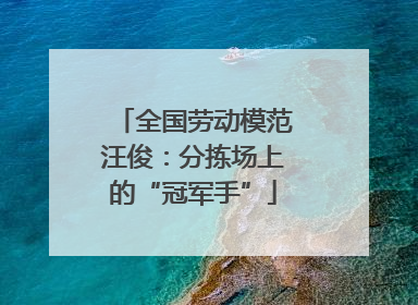 全国劳动模范汪俊：分拣场上的“冠军手”