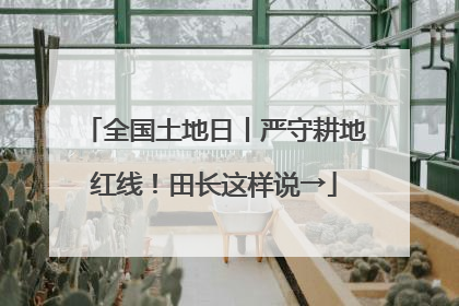 全国土地日丨严守耕地红线！田长这样说→