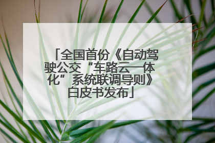全国首份《自动驾驶公交“车路云一体化”系统联调导则》白皮书发布
