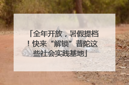 全年开放，暑假提档！快来“解锁”普陀这些社会实践基地