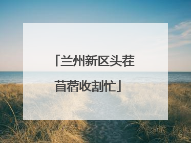 兰州新区头茬苜蓿收割忙