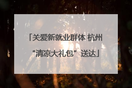 关爱新就业群体 杭州“清凉大礼包”送达