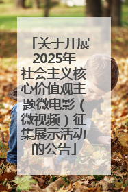 关于开展2025年社会主义核心价值观主题微电影（微视频）征集展示活动的公告