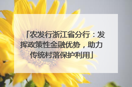 农发行浙江省分行：发挥政策性金融优势，助力传统村落保护利用