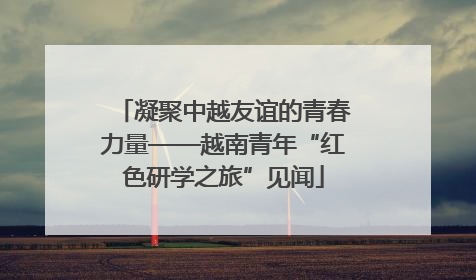 凝聚中越友谊的青春力量——越南青年“红色研学之旅”见闻