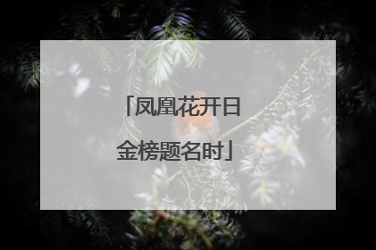 凤凰花开日 金榜题名时