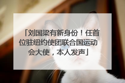刘国梁有新身份！任首位驻纽约使团联合国运动会大使，本人发声