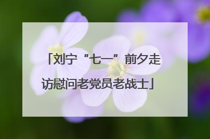 刘宁“七一”前夕走访慰问老党员老战士