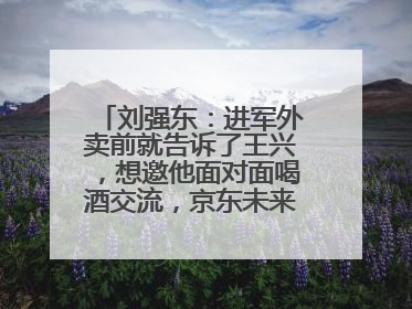 刘强东：进军外卖前就告诉了王兴，想邀他面对面喝酒交流，京东未来会打造一种与美团不同的商业模式