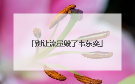 别让流量毁了韦东奕