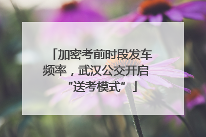 加密考前时段发车频率，武汉公交开启“送考模式”