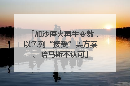 加沙停火再生变数：以色列“接受”美方案、哈马斯不认可
