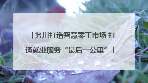 务川打造智慧零工市场 打通就业服务“最后一公里”