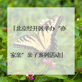 北京经开区举办“亦家亲”亲子系列活动