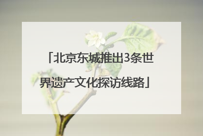 北京东城推出3条世界遗产文化探访线路