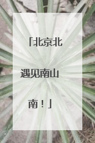 北京北遇见南山南！