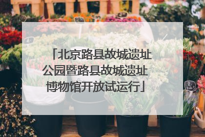 北京路县故城遗址公园暨路县故城遗址博物馆开放试运行