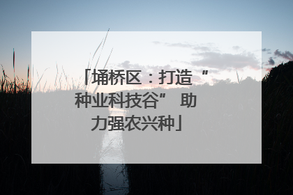 埇桥区：打造“种业科技谷” 助力强农兴种
