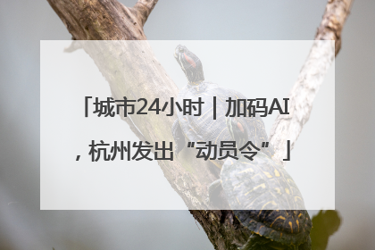 城市24小时｜加码AI，杭州发出“动员令”