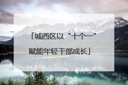 城西区以“十个一”赋能年轻干部成长