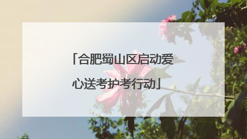 合肥蜀山区启动爱心送考护考行动