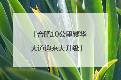 合肥10公里繁华大道迎来大升级