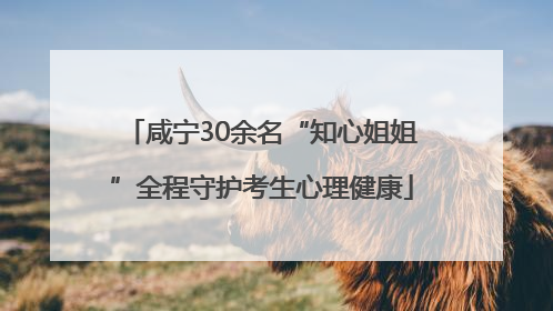 咸宁30余名“知心姐姐”全程守护考生心理健康