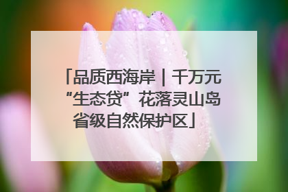 品质西海岸｜千万元“生态贷”花落灵山岛省级自然保护区